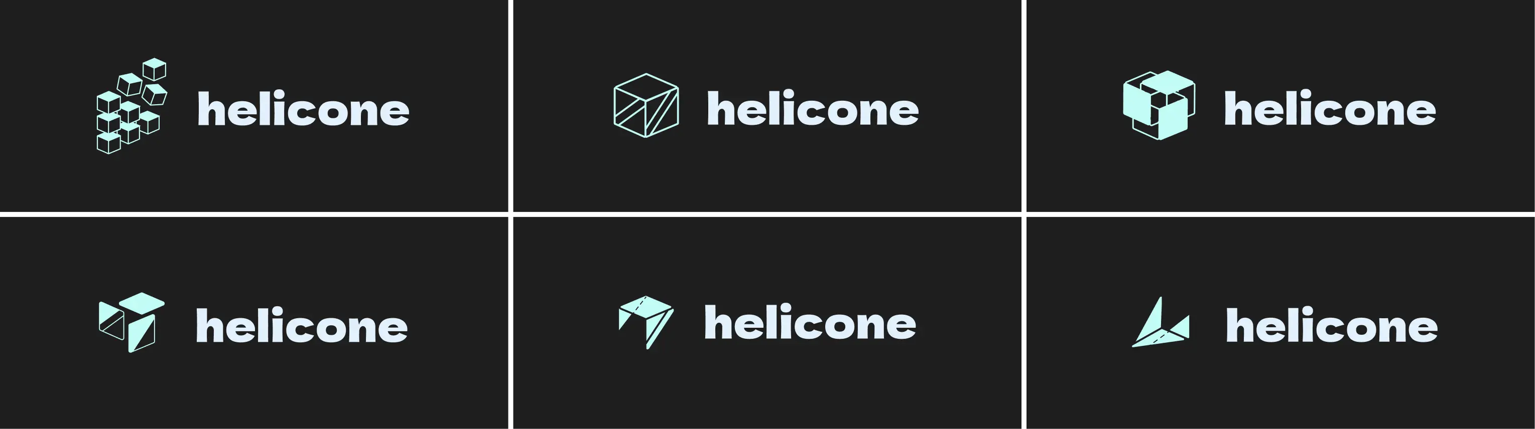 Helicone Logo Exploration with Text - Logo concepts paired with typography options