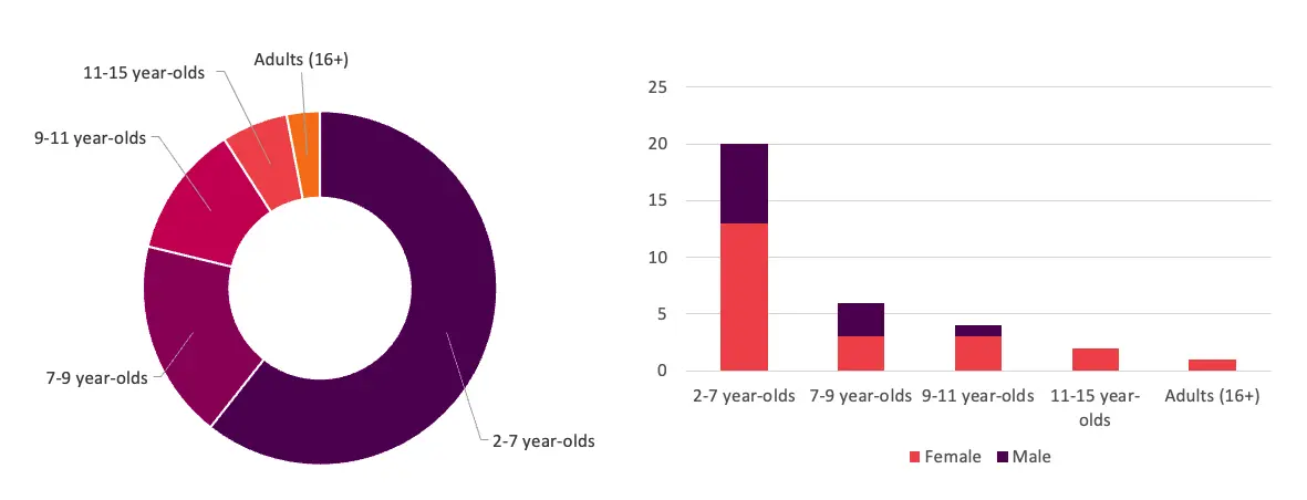 Demographic research chart displaying age distribution of face painting customers